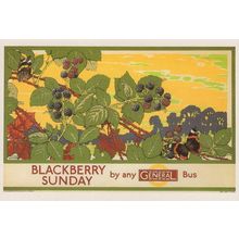 Blackberry Sunday 1920s London Transport Bus Advertising Postcard