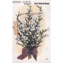 Good Luck From Inverness Mailing Novelty Scottish Postcard