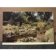 THE ROCKERY, PRESTON PARK, BRIGHTON. unused vintage postcard by Jarrold =