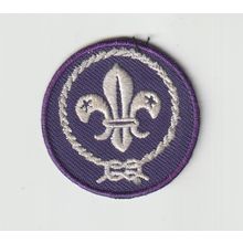 Scout Membership Badge - Non UK?? - White Back - (BY350)