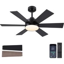 42 Inch Ceiling Fans with Lights, Black Ceiling Fan with Remote APP, Dual-Sided