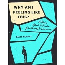 Why Am I Feeling Like This?