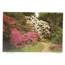 SANDLING PARK, SALTWOOD, KENT unused postcard .By Judges =