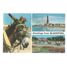 BLACKPOOL, LANCASHIRE. MULTIVIEW.. used postcard 1973 postmark Donkey =