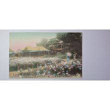 FLAG OF HORIKIRI, TOKYO, HAND TINTED 1900-1907 (721)