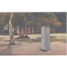 Rufus Stone New Forest Hampshire Postcard (QHAM200)