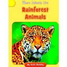 Where Animals Live Rainforest Animals