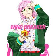 Wind Breaker 7