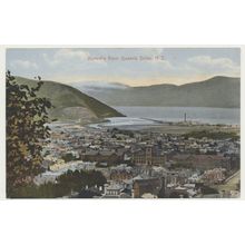 DUNEDIN from Queens Drive early 20th C. RPPC scenic series 105748 New Zealand