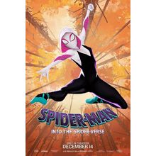 Spider-Man Into The Spider-Verse 5 Poster Canvas Movie Film Print A0 A1 A2 A3 A4