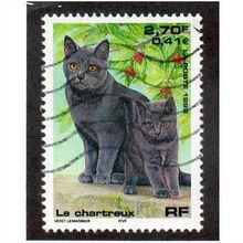 FRA 1999 2,70F 'DOMESTIC PETS' FINE USED (EBID20-176)