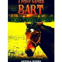 A Pony Named Bart