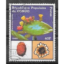 CONGO N° 855 YVERT OBLITERE ( USED )