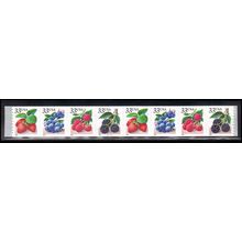 3302-3305 33c Fruit Berries Very Fine MNH PNC B2211/8 PAL4128