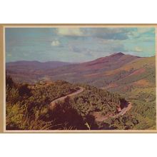 Tea Nursery Nurseries Tzaneen Teekwekery Naby South Africa Postcard