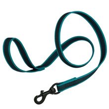 Rubber Infused Nylon Leash W3/4" x L 6' Teal