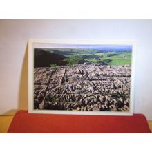LIMESTONE PAVEMENT, MALHAM, Yorkshire unused postcard by J. Arthur Dixon =