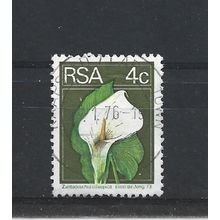 SouthAfrica.SG351 4c Arum Lily.Paper Unchecked.Fine Used.Sep25e