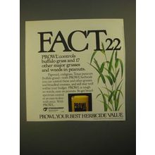 1987 Cyanamid Prowl Herbicide Ad - Fact 22 Controls Buffalo Grass