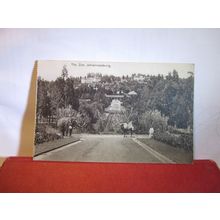 THE ZOO, JOHANNESBURG, SOUTH AFRICA unused antique postcard =