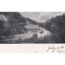 ED 132 WELLINGTON - FOREST GLEN. PRINTED POSTCARD. DUPLEX 859 POSTMARK