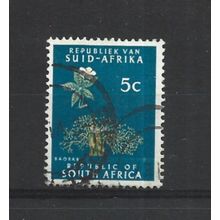 SouthAfrica.SG204 5c Baobab Tree.Variety Unchecked.Fine Used.Aug25a