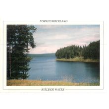 KIELDER WATER unused postcard vgc. by Michael Goonan #