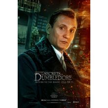 Fantastic Beasts_ The Secrets of Dumbledore (2022)_18 Movie Film Poster Canvas i