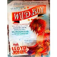 Wild Boy