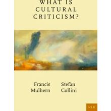 What Is Cultural Criticism