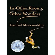 In Other Rooms, Other Wonders - Daniyal Mueenuddin