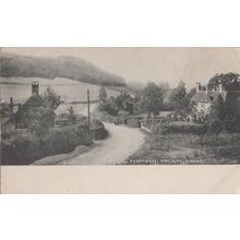 Fernhurst Kingsley Marsh Haselmere Surrey Antique Postcard