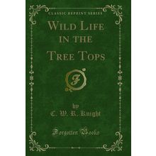 Wild Life in the Tree Tops (Classic Reprint)