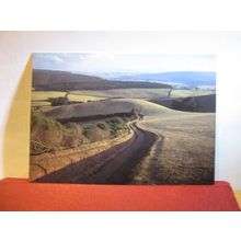 FARMLAND NEAR SELWORTHY, SOMERSET unused postcard. Exmoor National Park =
