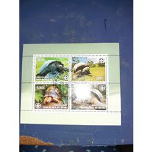 benin 2007 tortoise x 4 values mini sheet