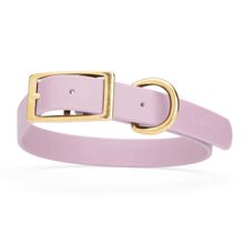 Dog Pet Collar with Brass Hardware Size XL W 1” L 22” - 25" Pastel Purple