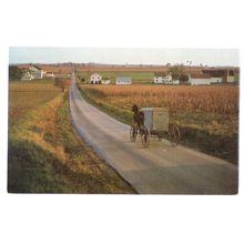 AMISH COUNTRY SOLITUDE, PENNSYLVANIA, USA unused vintage postcard #