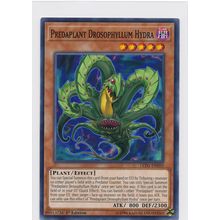 YuGiOh Immortal Destiny LED5-EN050 Predaplant Drosophyllum Hudra 1st Edition