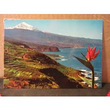 ZONA NORTE CON AL TEIDE, TENERIFE .used postcard. 1979 pm #