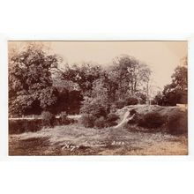 Hayes Common Bromley Postcard RP Kent