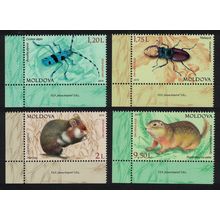 Moldova Beetles Rodents Endangered Animals Fauna 4v Corners 2019 MNH
