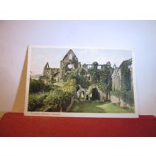 WATERGATE, TINTERN ABBEY, MONMOUTHSHIRE , unused antique postcard Peacock serie=