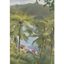 Our Glorious Empire New Zealand Wanganui River Old Postcard