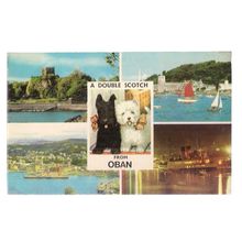 DOUBLE SCOTCH FROM OBAN, SCOTLAND multiview used vintage postcard 1980 pm =