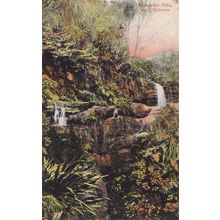 Walhirere Falls Gisborne New Zealand Old Postcard