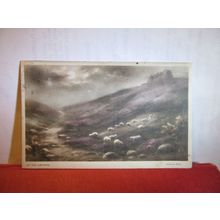 HAY TOR DARTMOOR, DEVON by Andrew Beer antique used postcard 1926 pm =