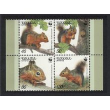 Armenia WWF Squirrel 4v Block of 4 2001 MNH SG#484-487 MI#435-438 Sc#632 a-d
