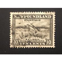 ICOLLECTZONE Newfoundland 193 VF used