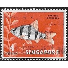 1962 SG 65 - fine used (o) - FISH