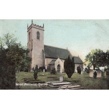 Wood Bastwick Norfolk Village Church Postcard